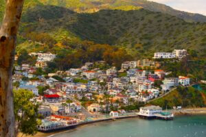 Catalina Island California